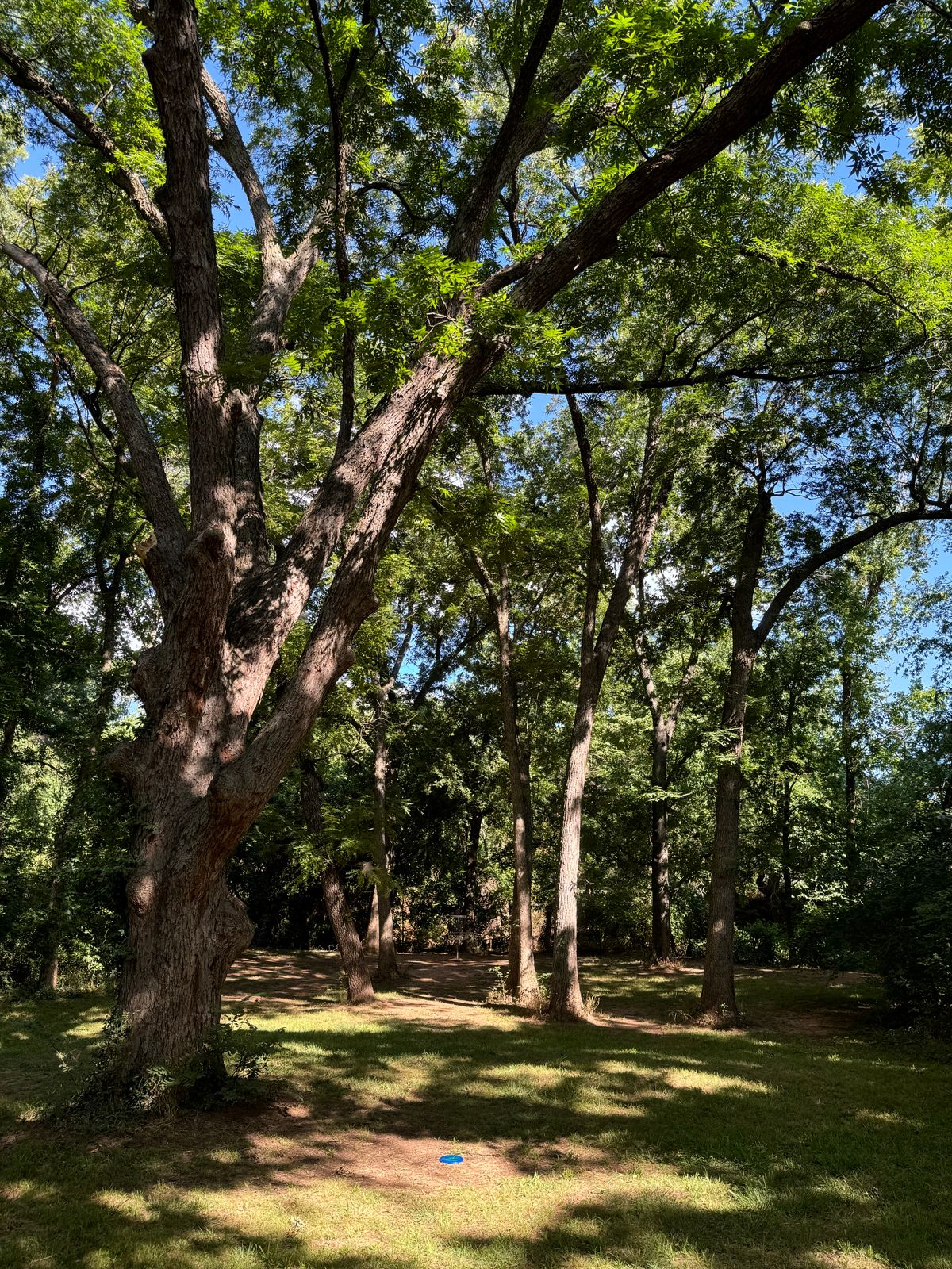 Hole 15 - MidWay view.