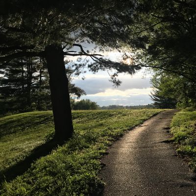 Path to the 10th tee