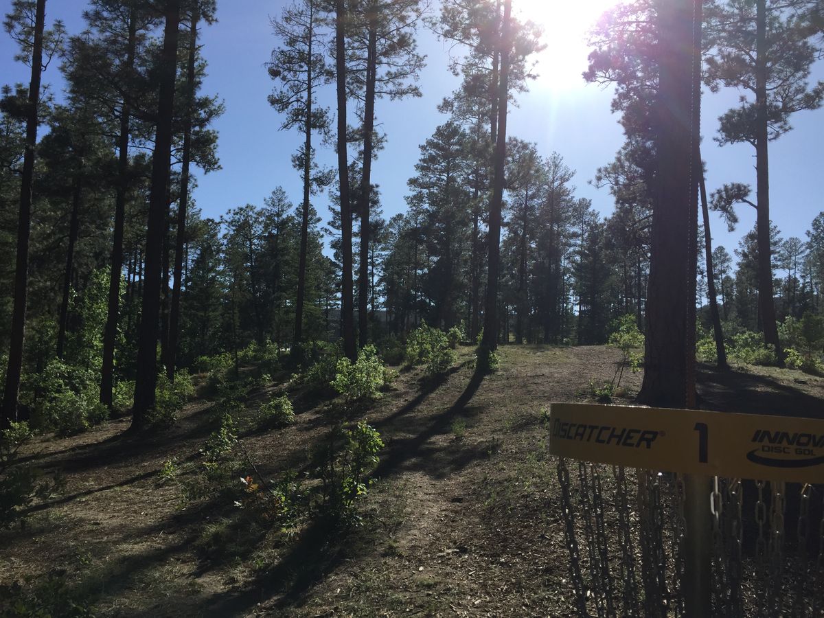 Hole #1 looking back towards the tee box.