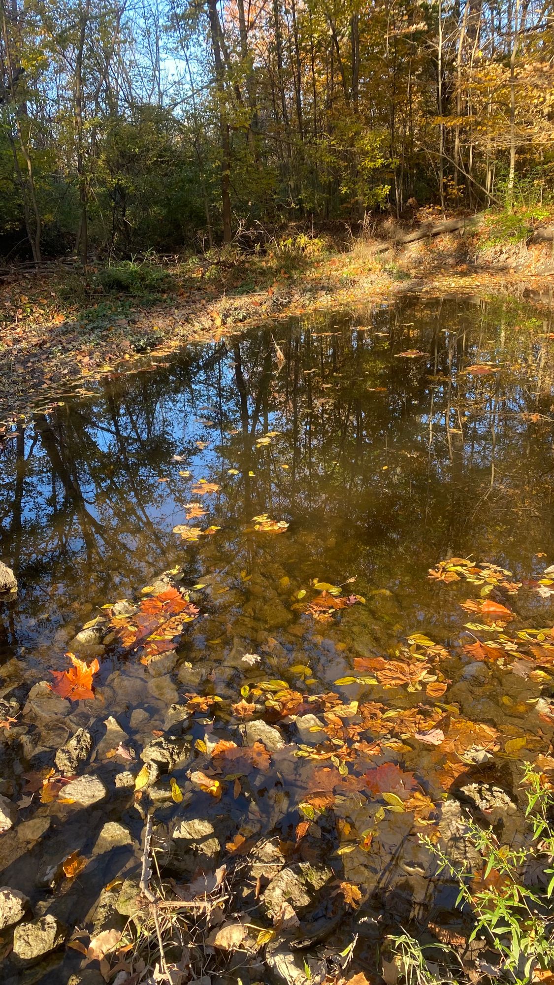 Watch out for this water at hole 8