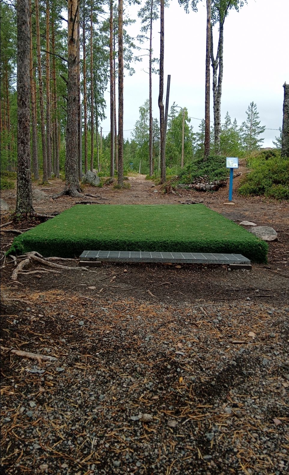 Hole 12|#12