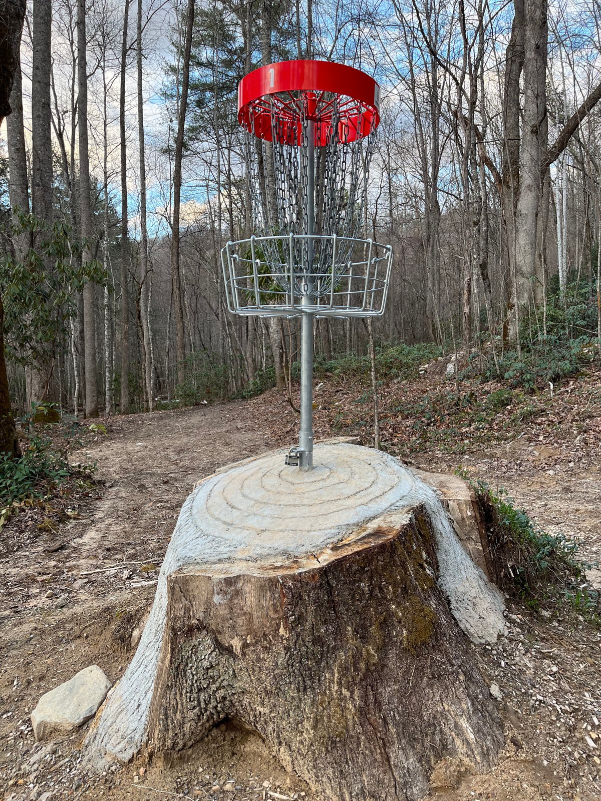 Hole 1 red (short) basket
