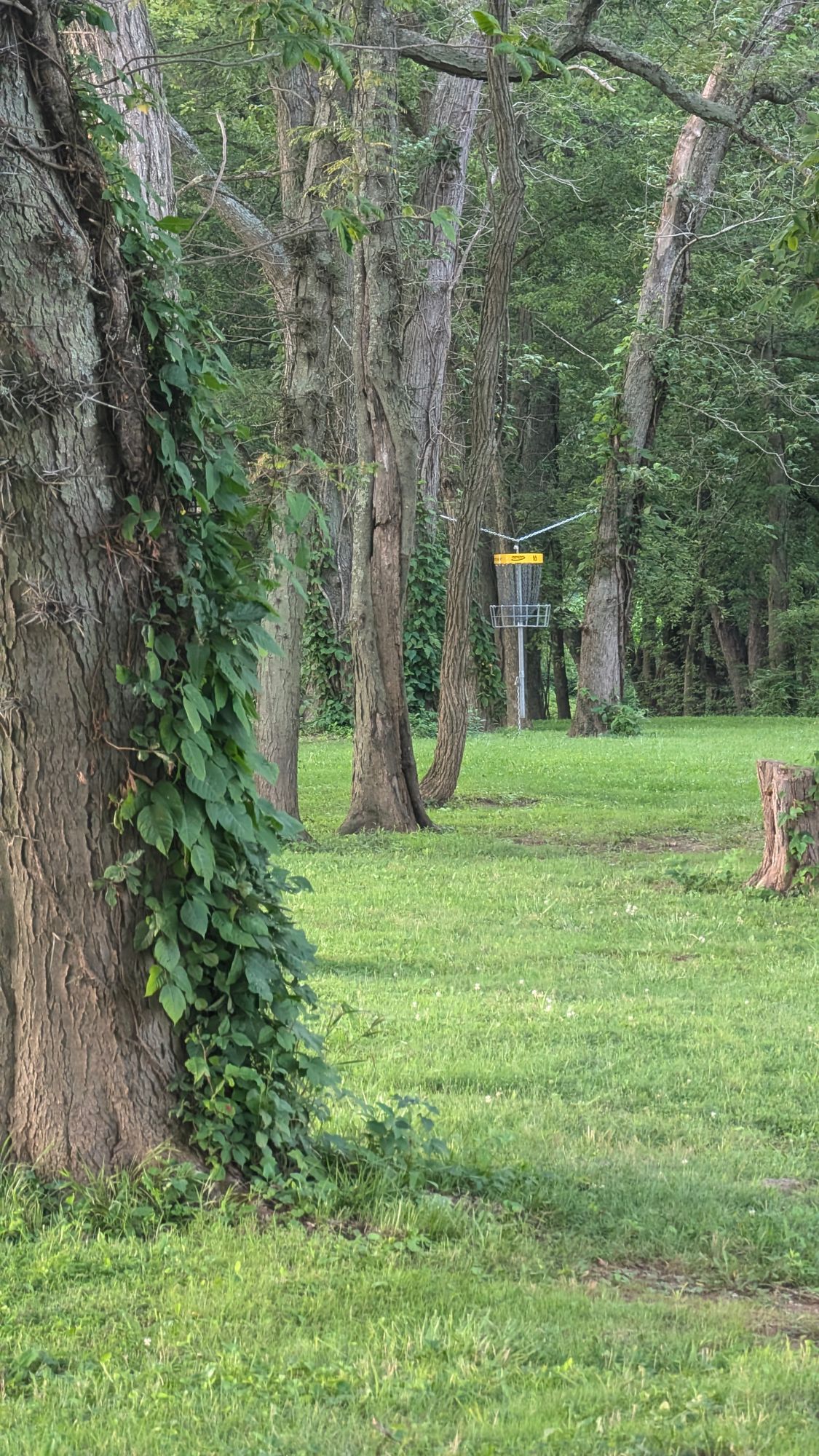 Hole 10