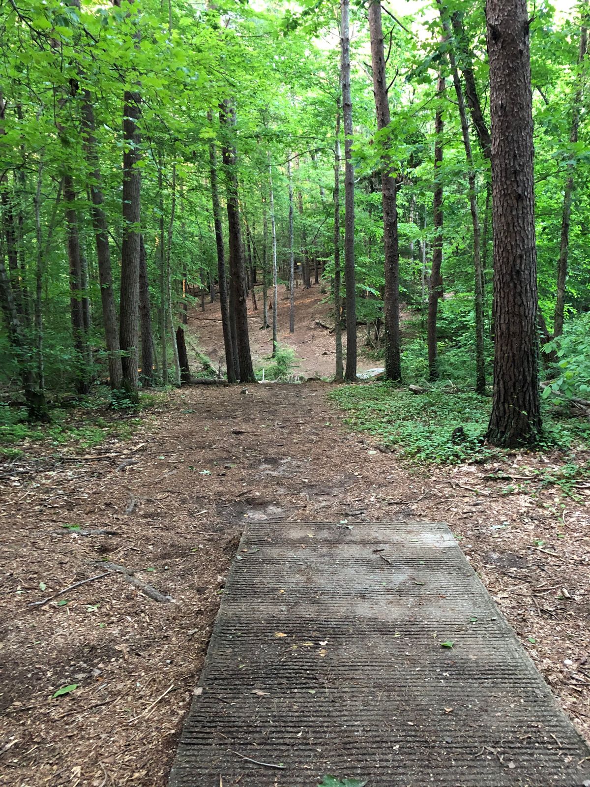 Hole 15 Launch Pad