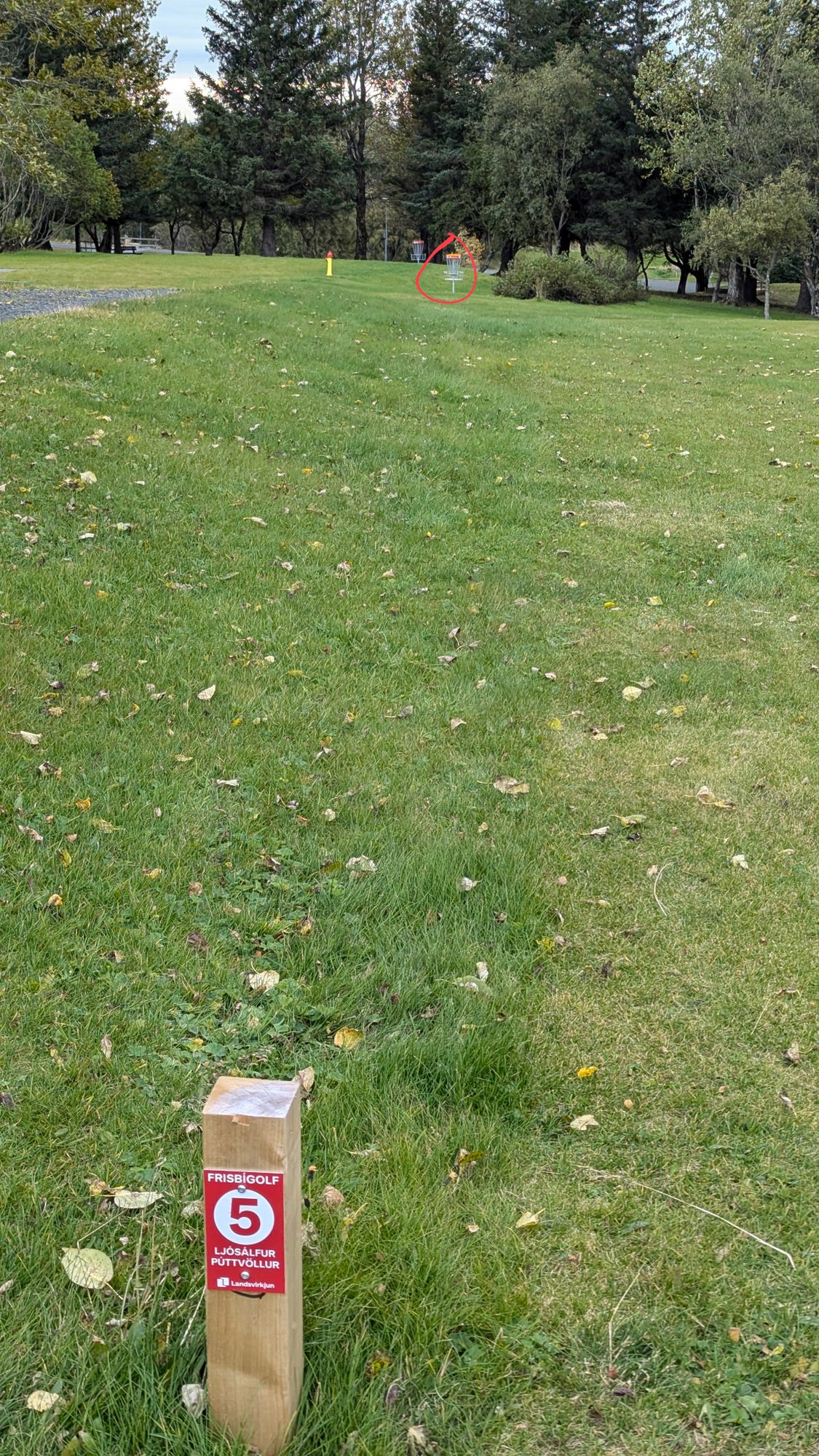 9-hole course, hole #5