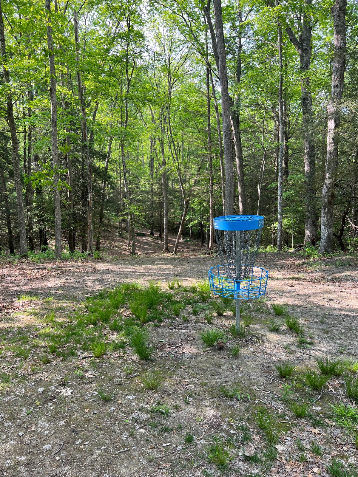 Hole 4 Basket to Tee