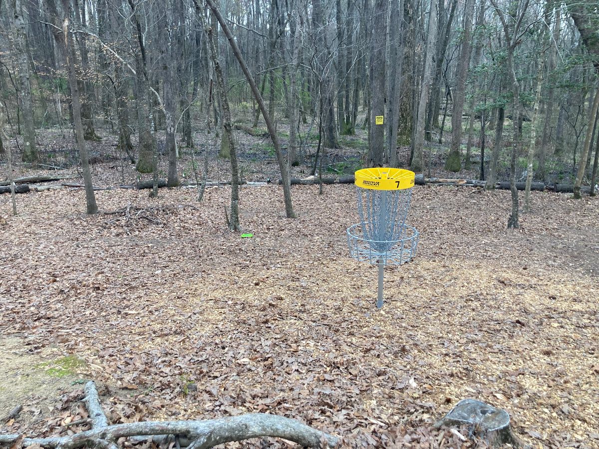 Hole 7
