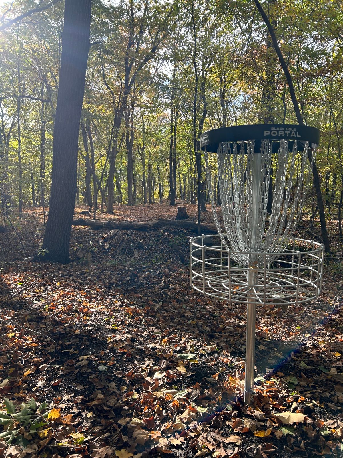 Hole 7 basket - looking back over the ditch