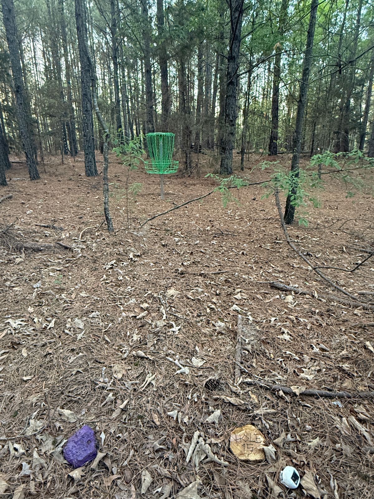 Hole 15 - Purple