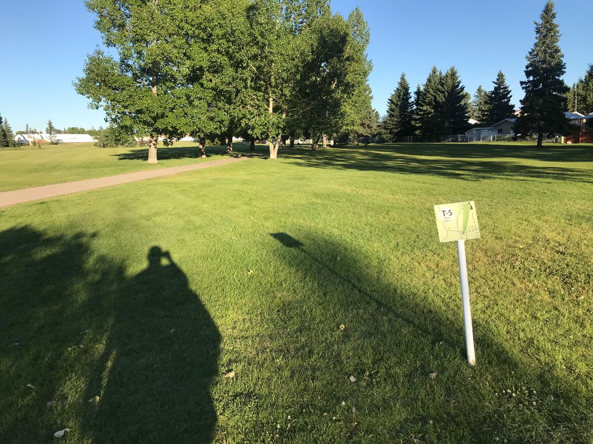 Hole 5 tee pad