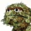 wincapaw