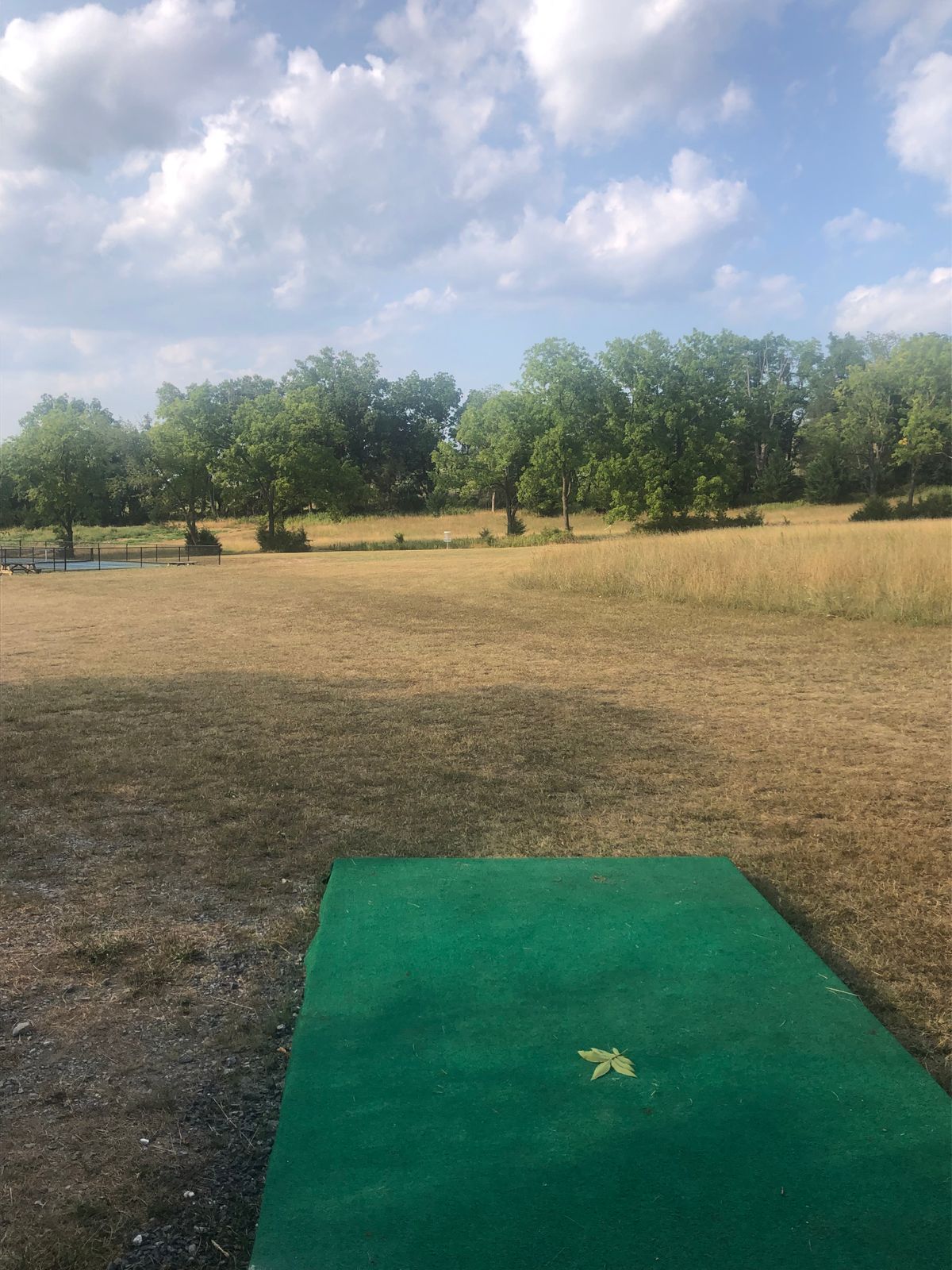 Hole 5