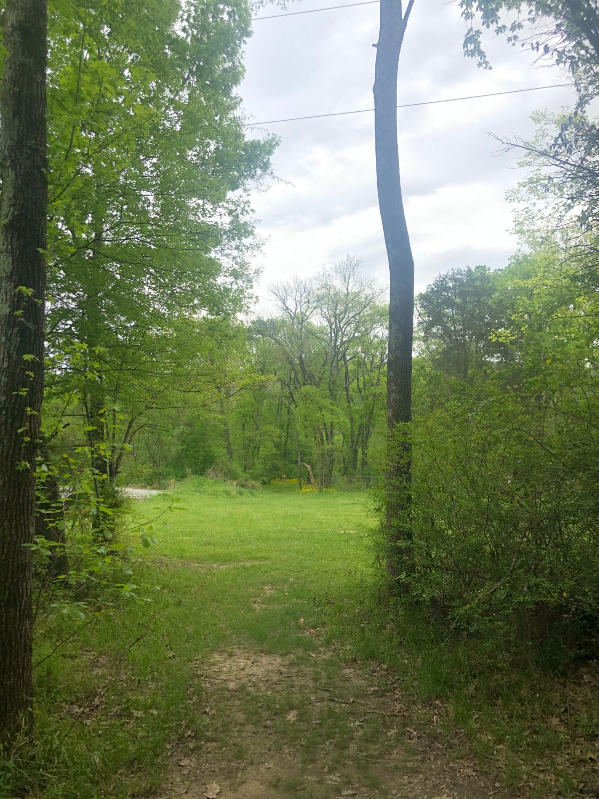 Hole 16