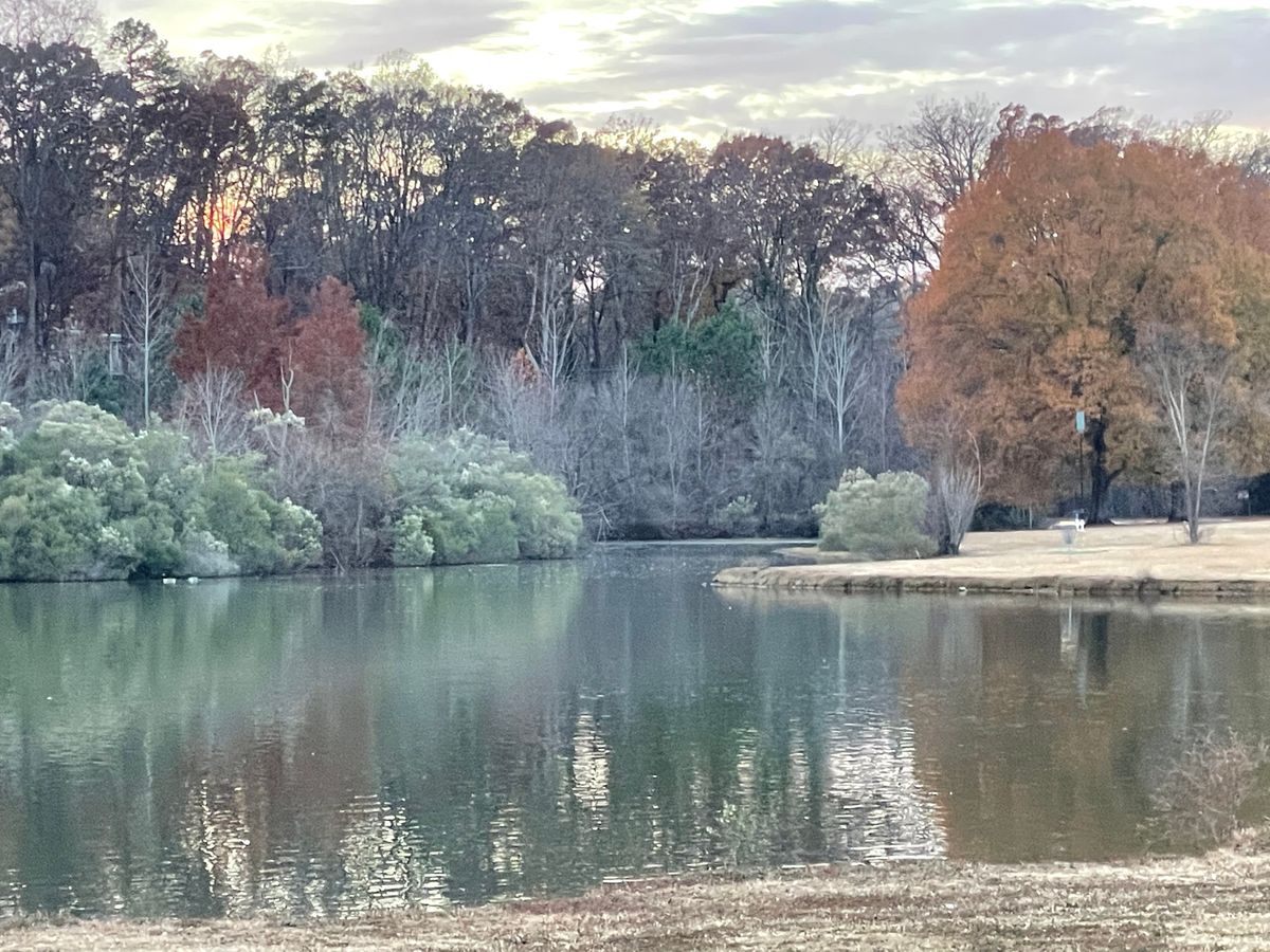 #5 basket across the lake