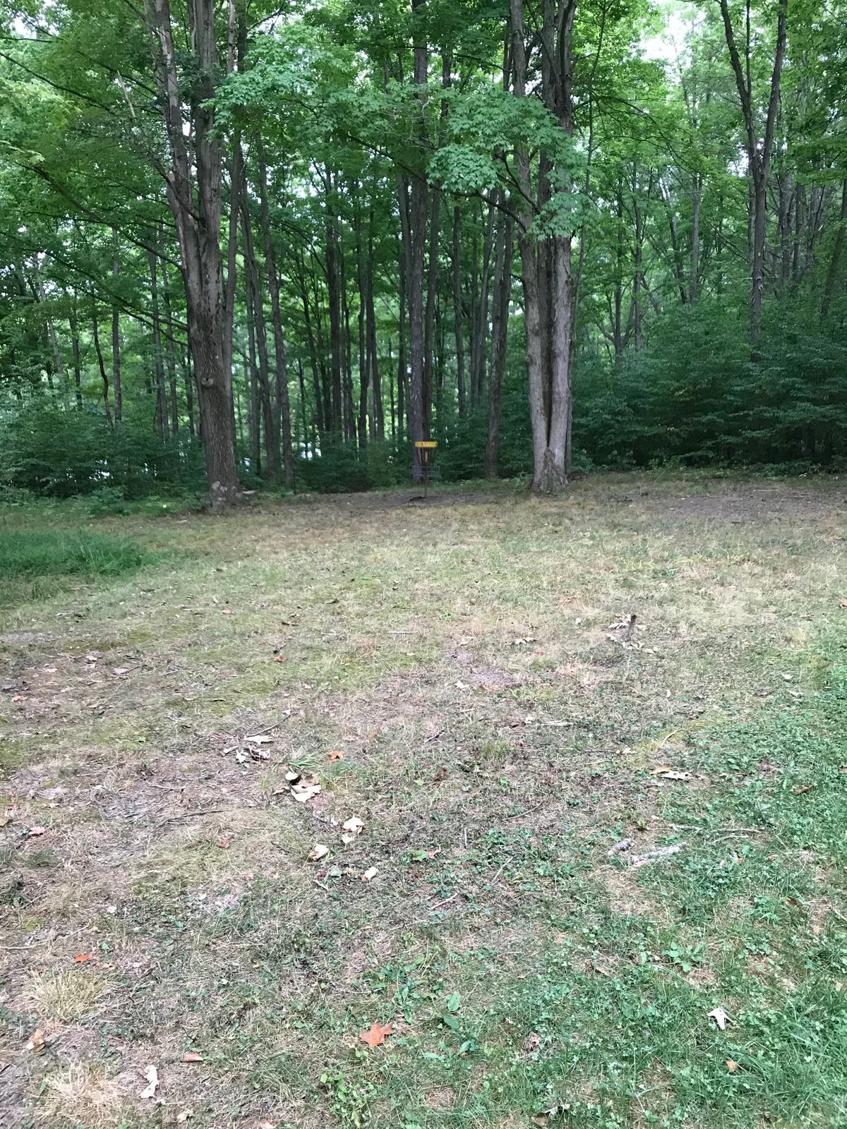 #1 fairway/green