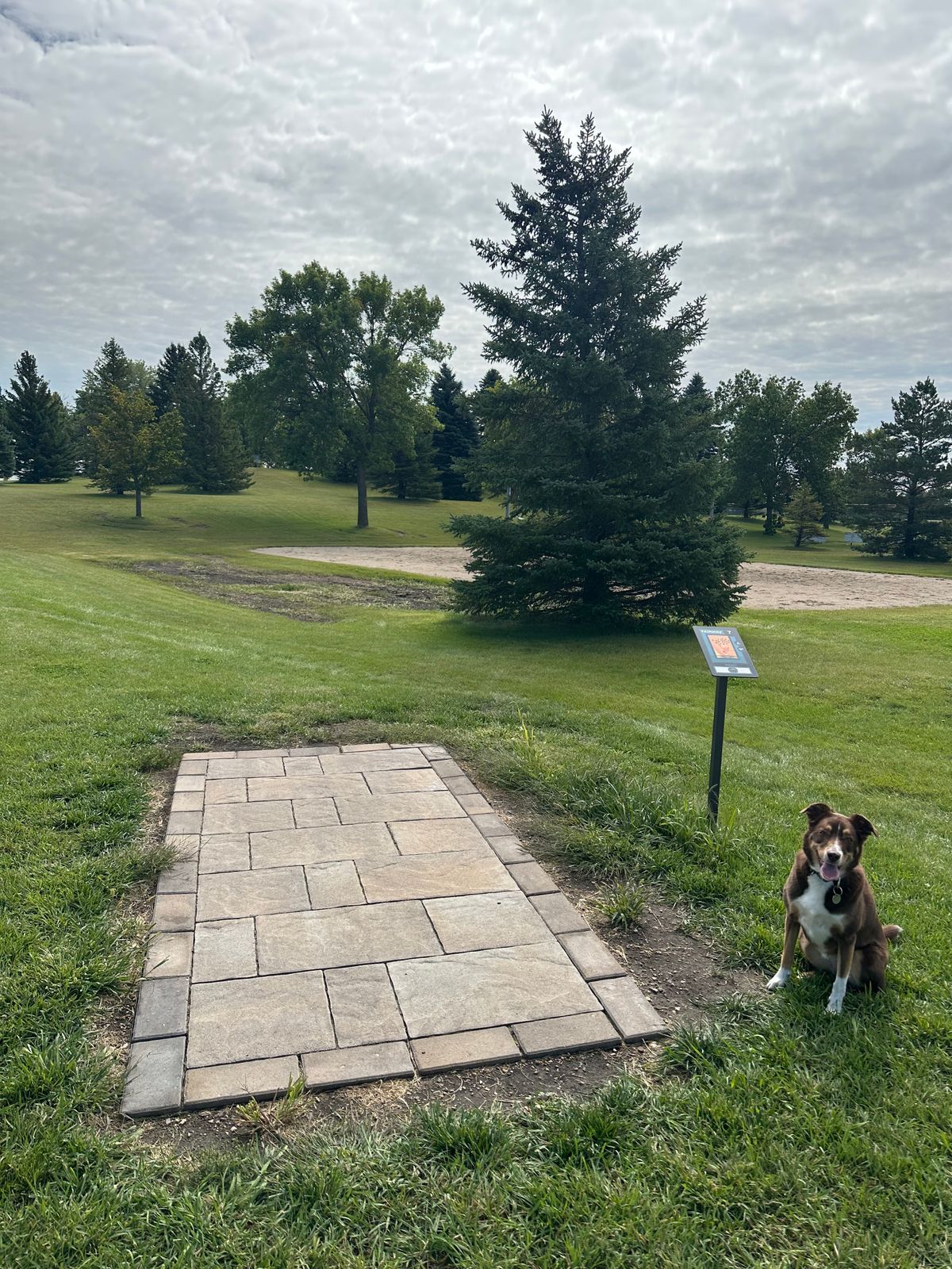 Tee pad 7