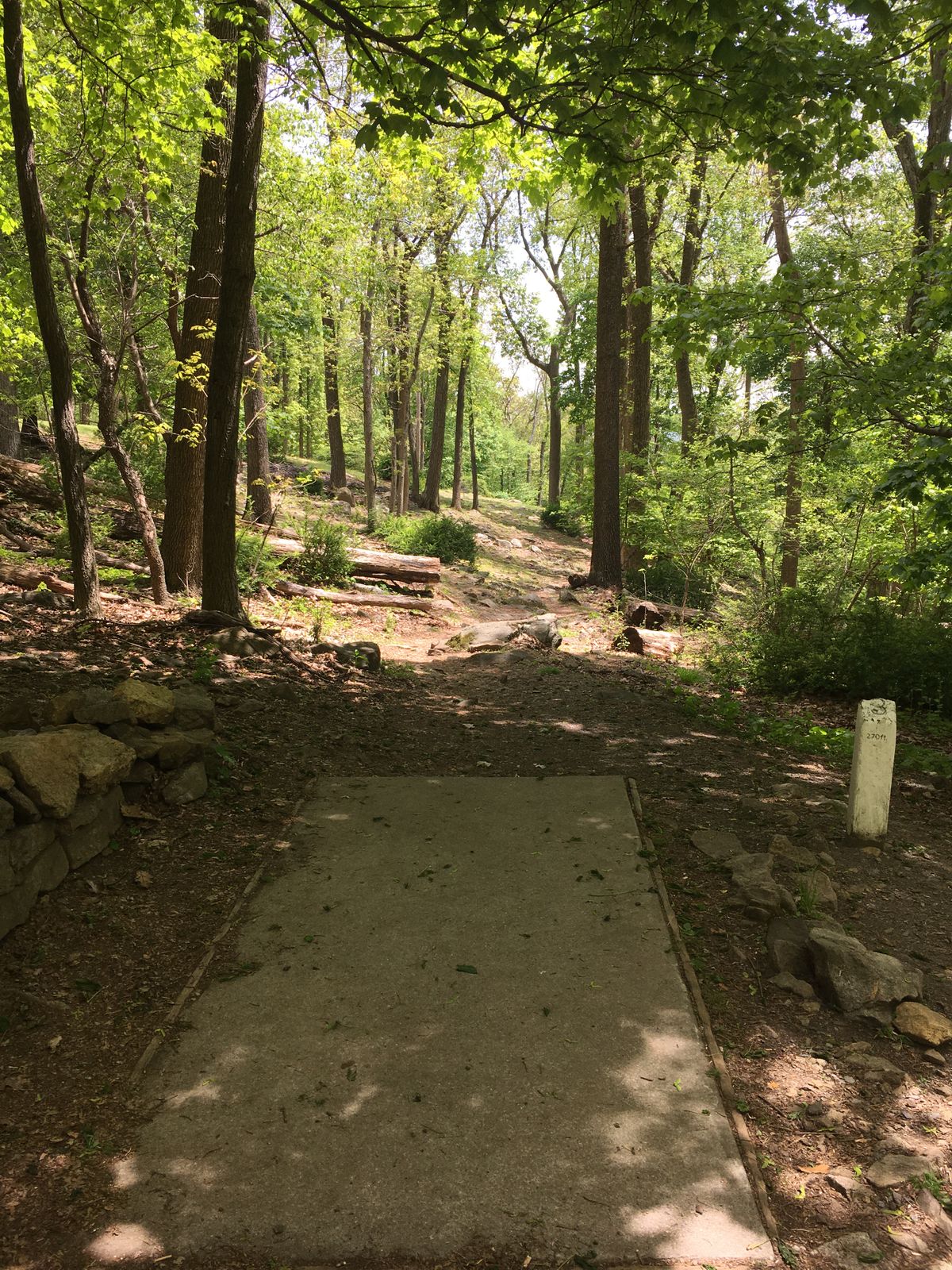 Hole 3 Fan Favorite