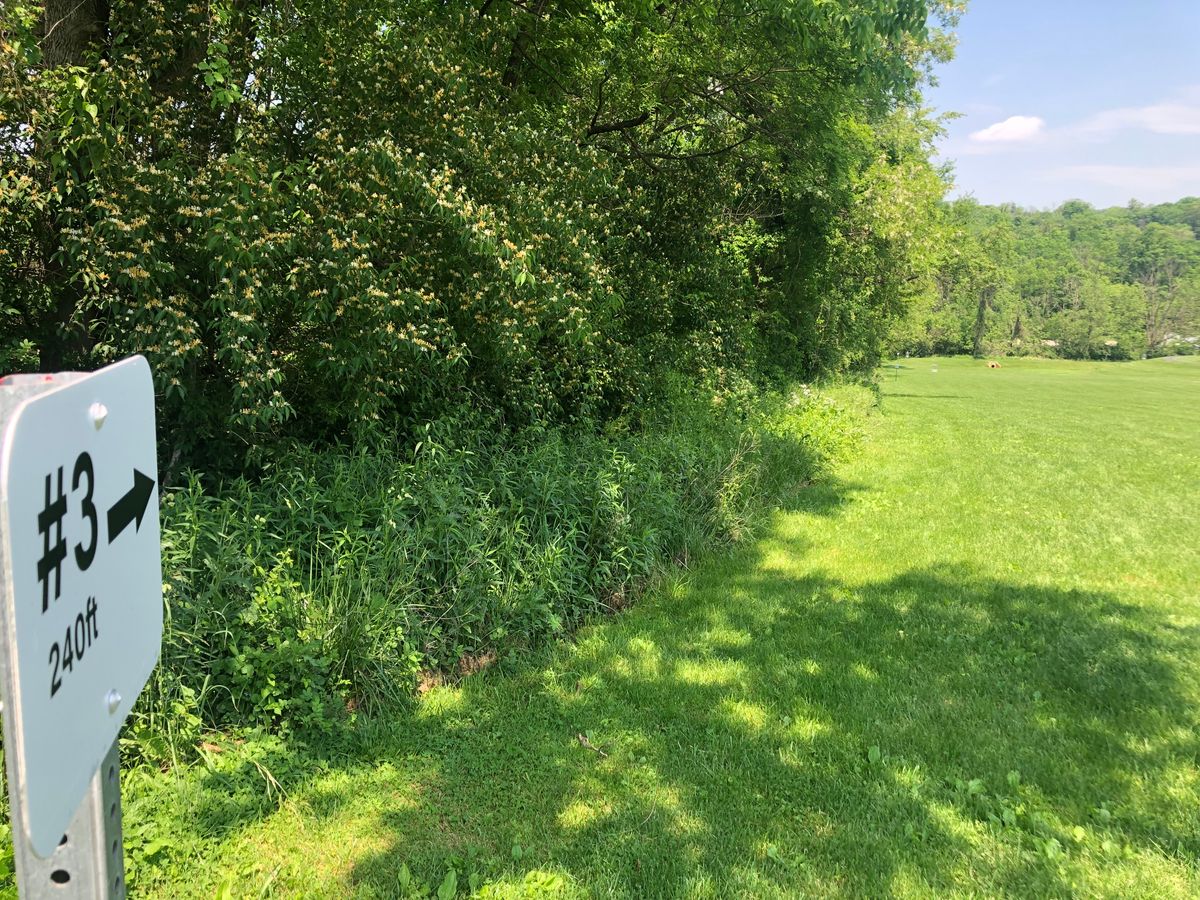 Blind dogleg left