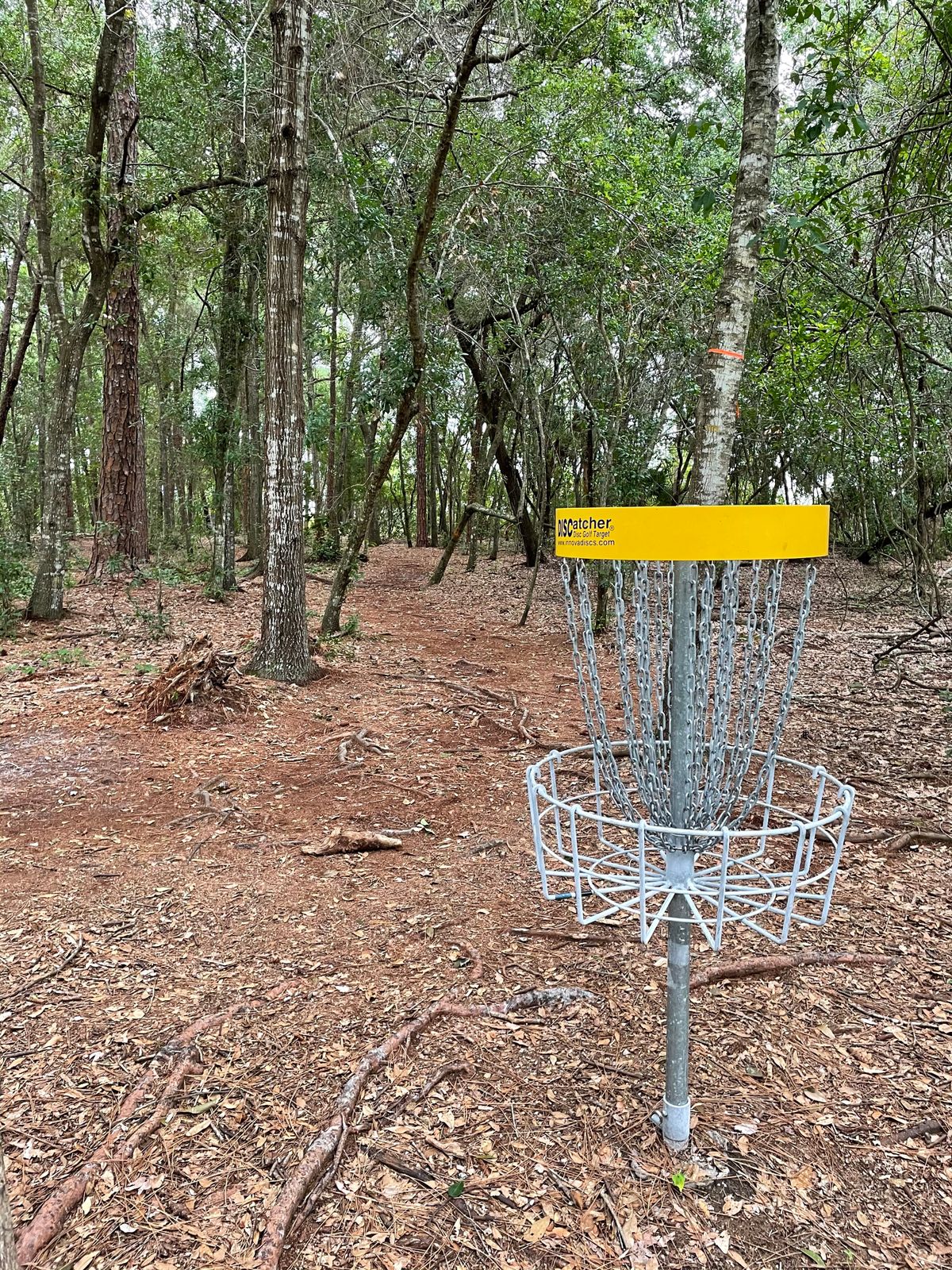 Hole 4