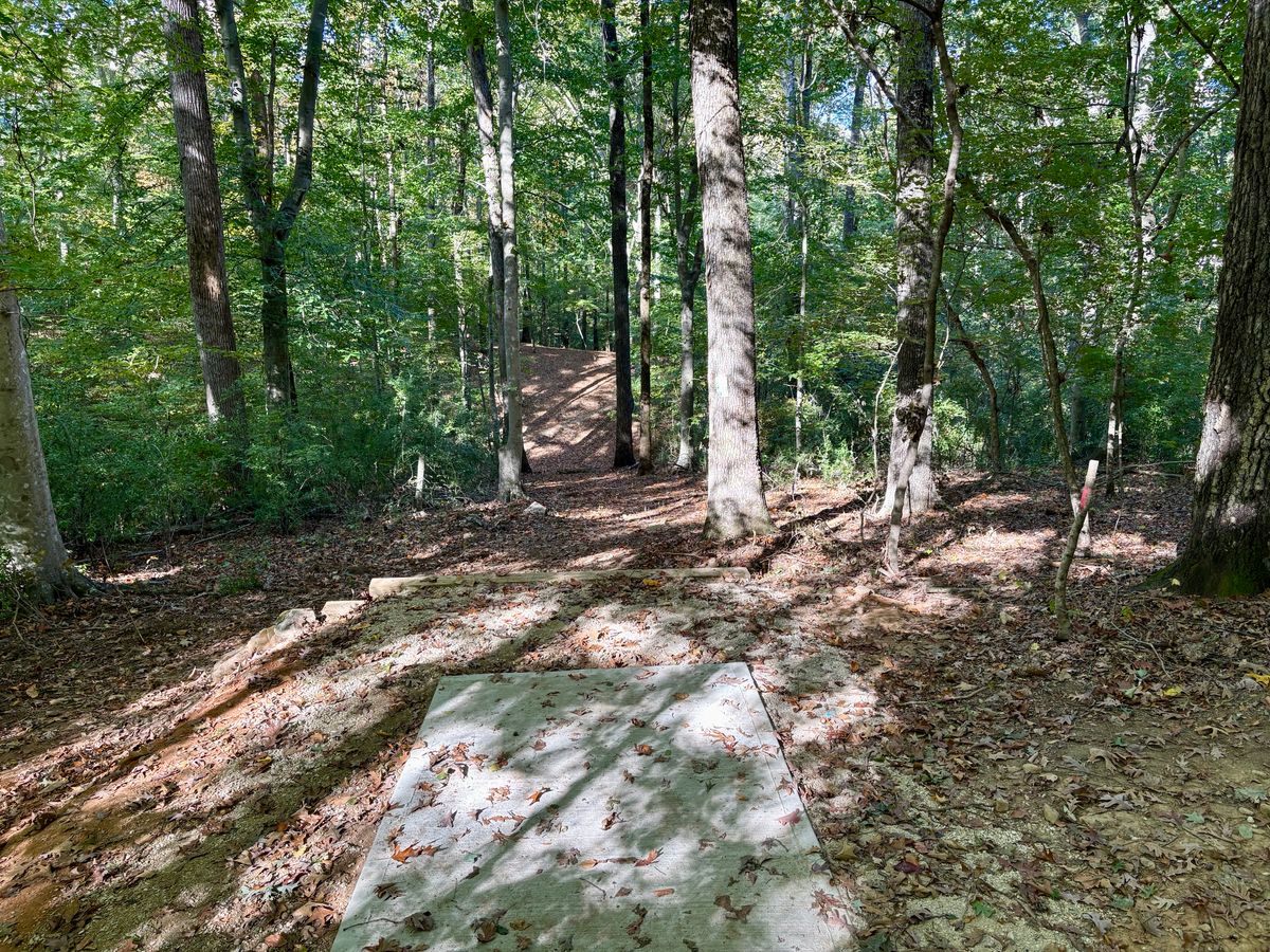 Hole 9 tee