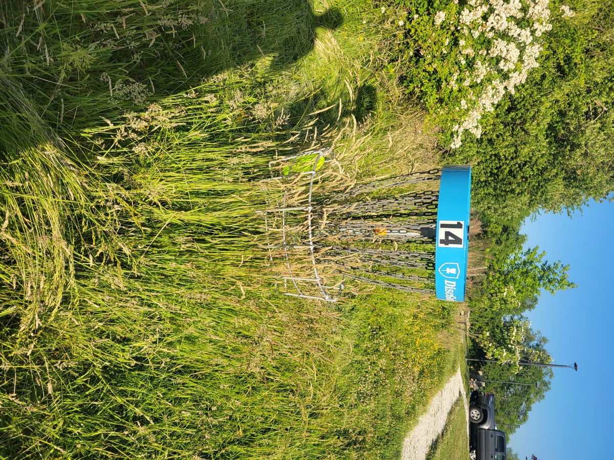 Grass so long it's growing through basket