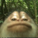 User avatar image
