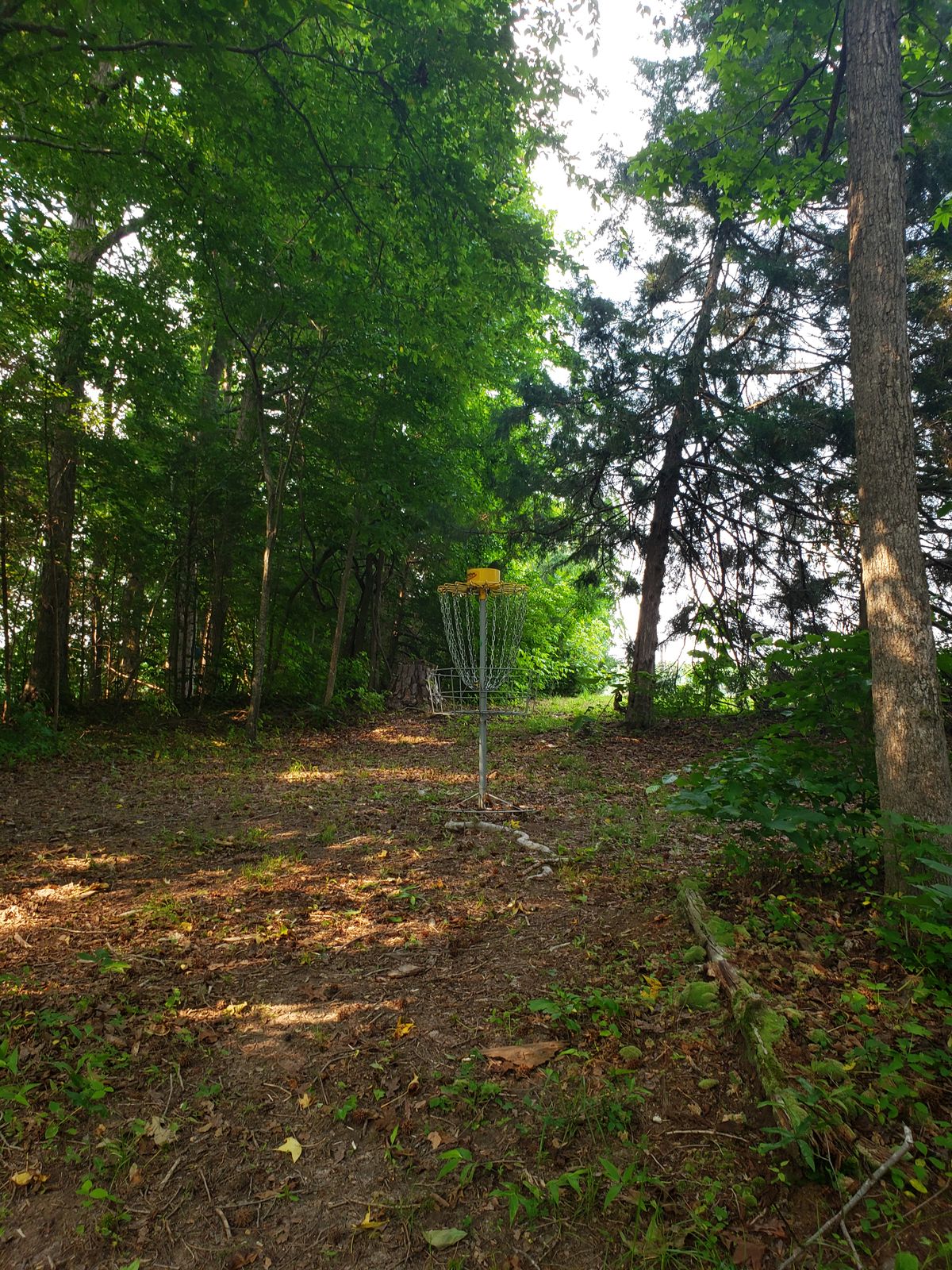 Hole 14 basket