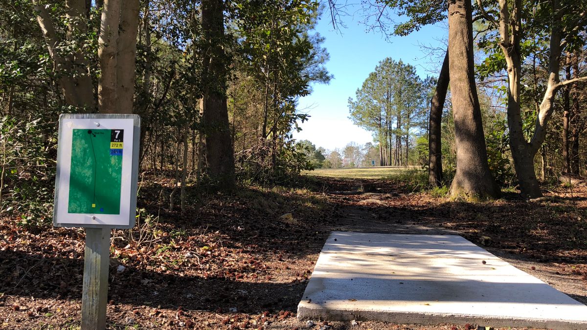 Hole 7