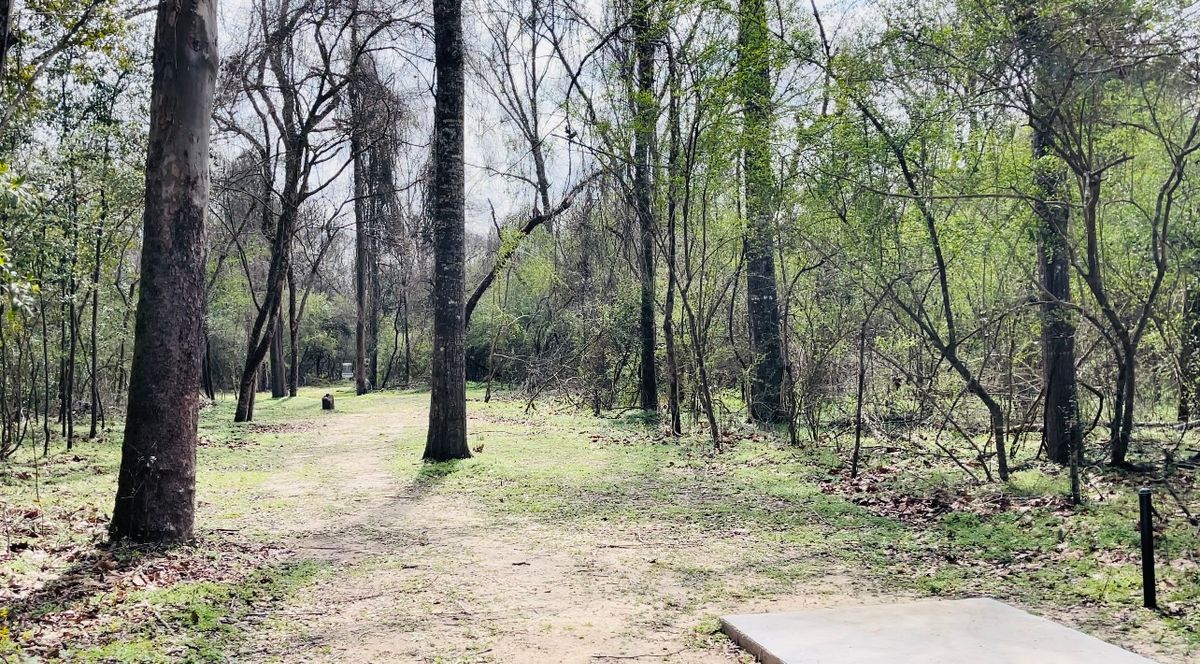 Hole 10