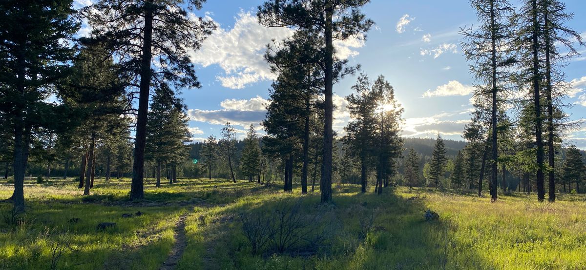 Photo from hole 4