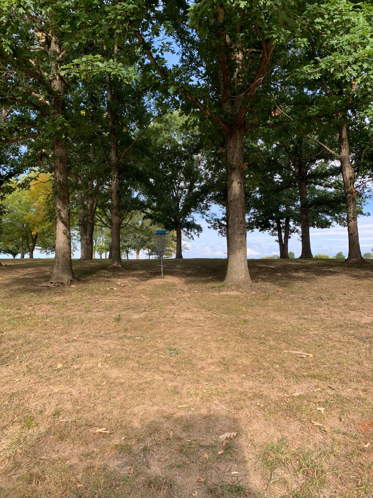 Hole 4 view behind basket