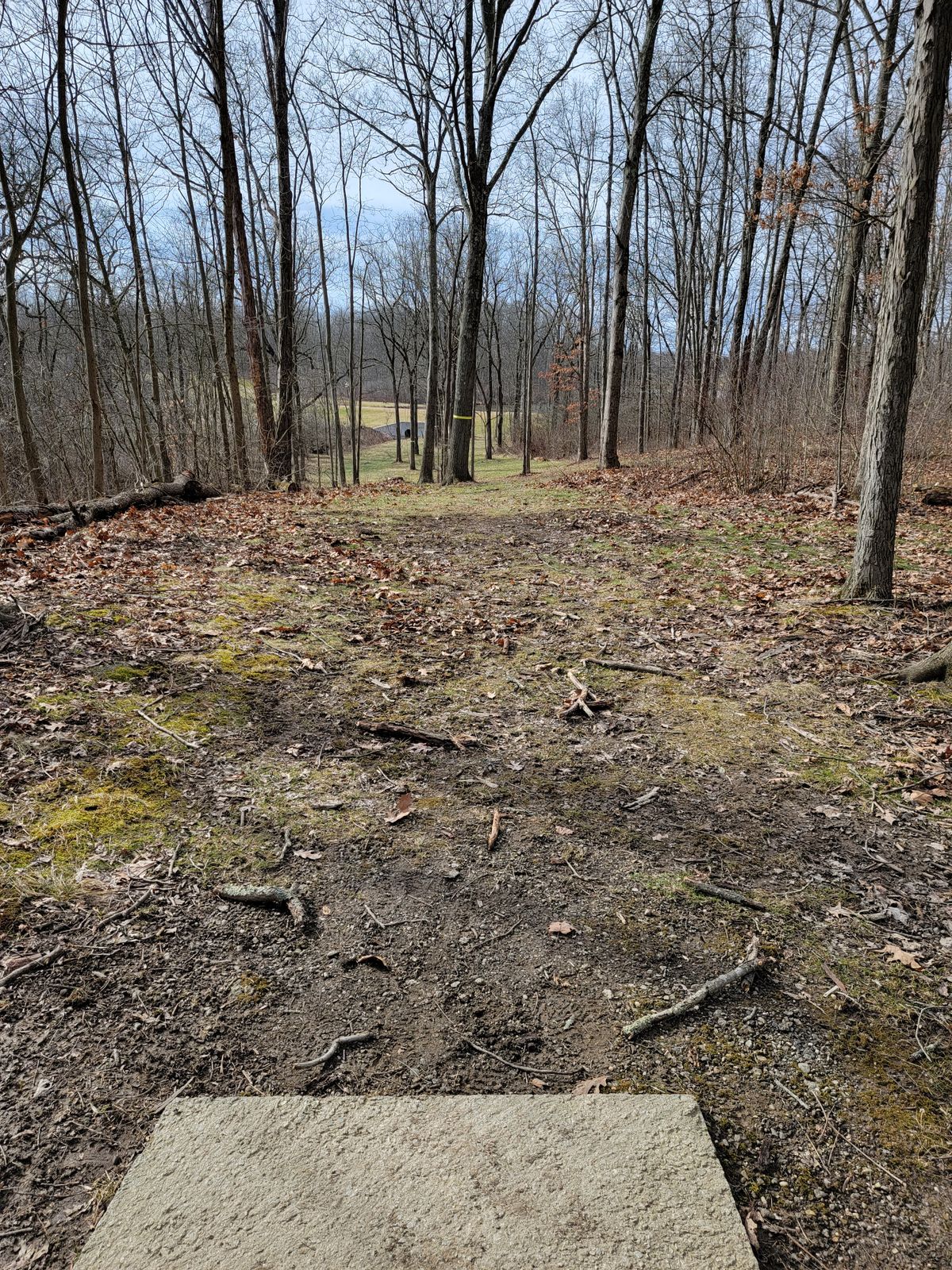 Hole 8's Tee