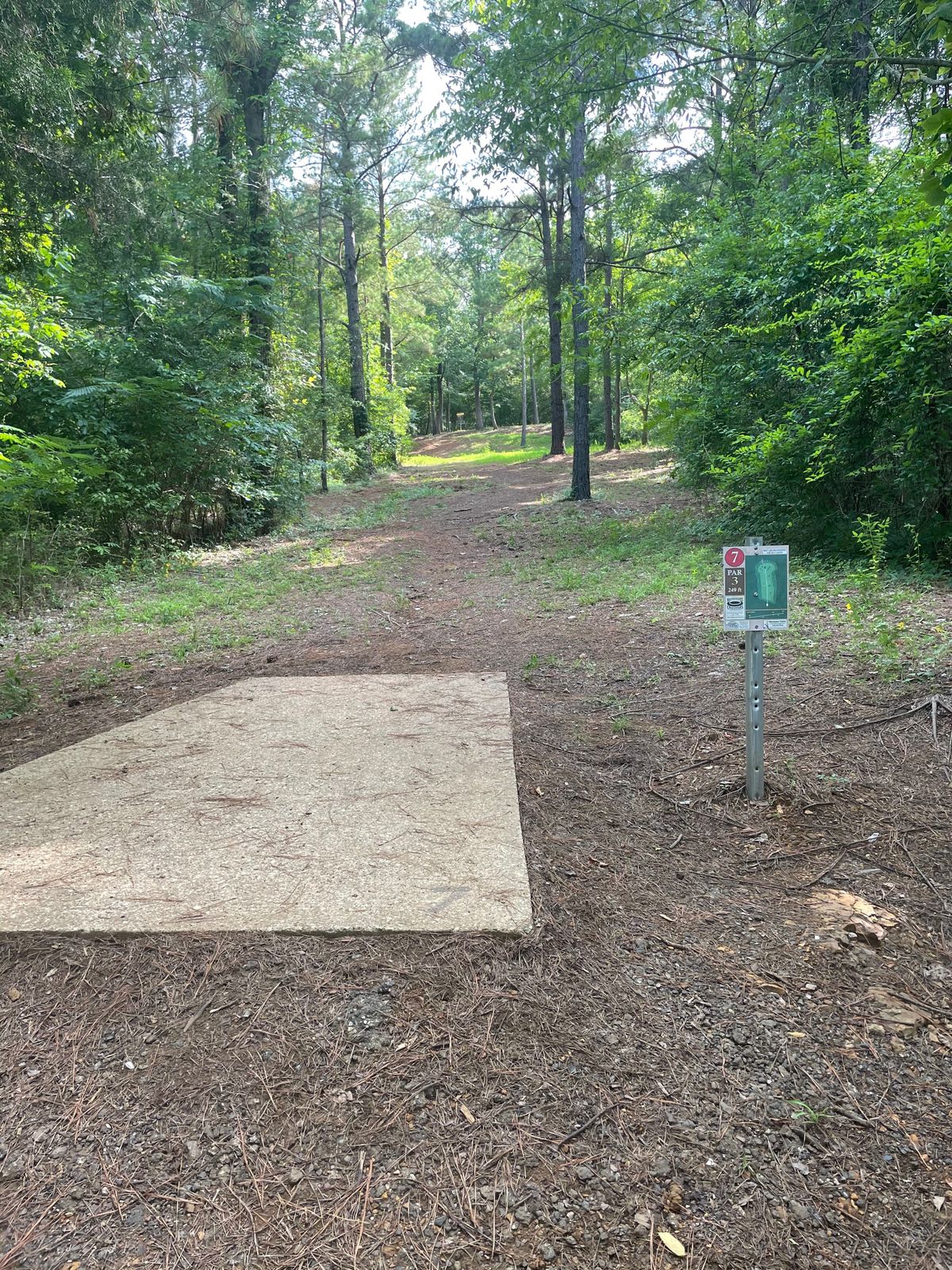 Hole 7