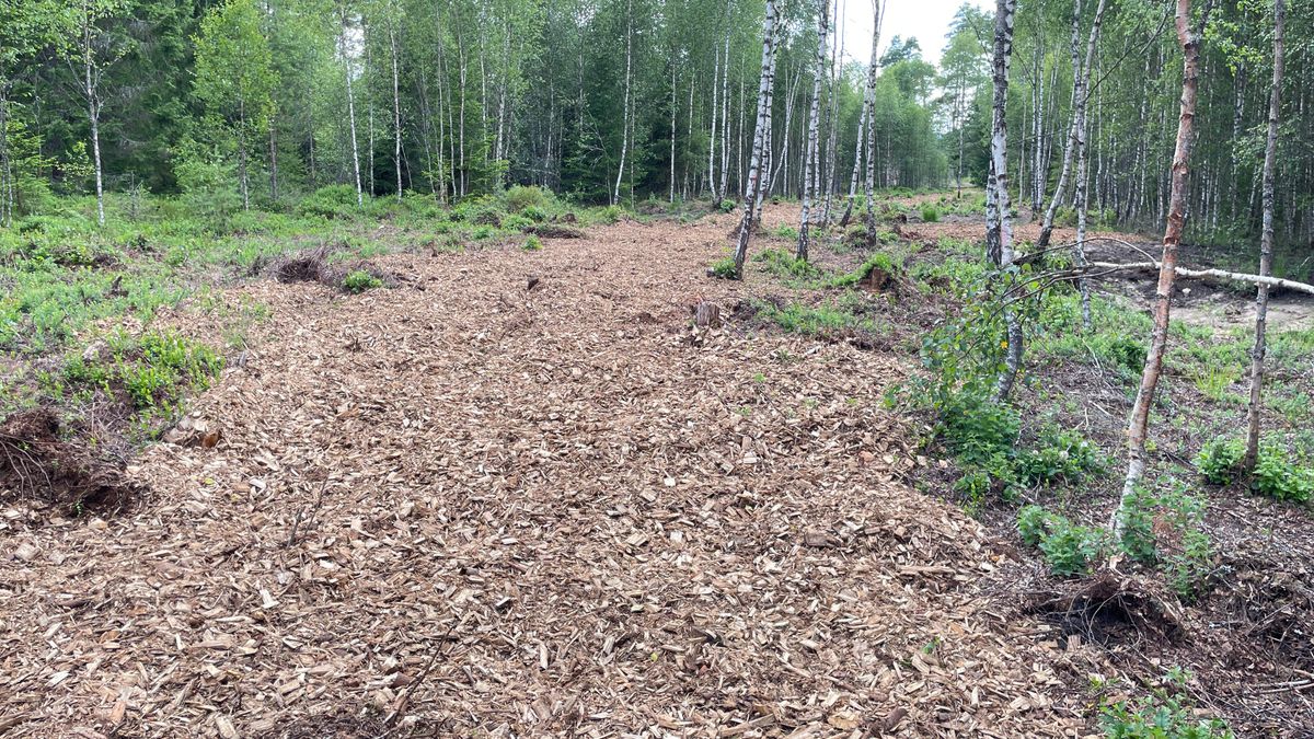 Fairway on hole 7