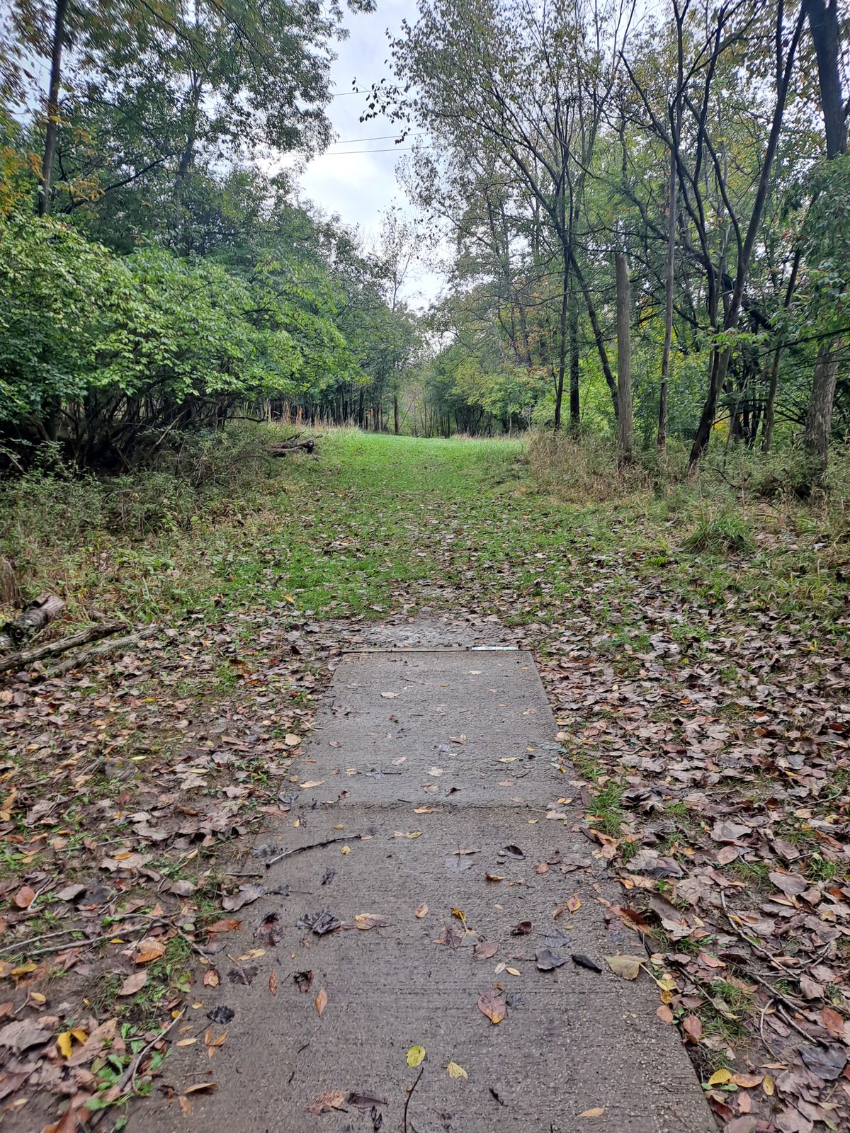 Hole 8. If you follow the path out of hole 7 at Roscoe, this is the first hole at Masi that creates the 27 hole Roscoe/Masi loop.