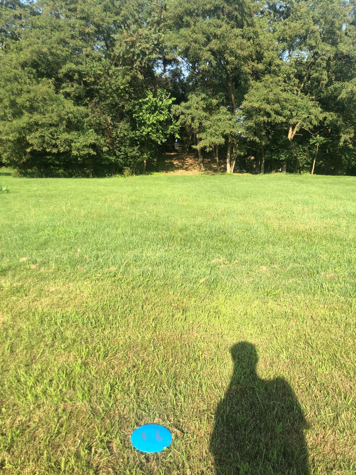 The signature hole of the course. The basket is set 4 feet off of a 8 foot drop off.