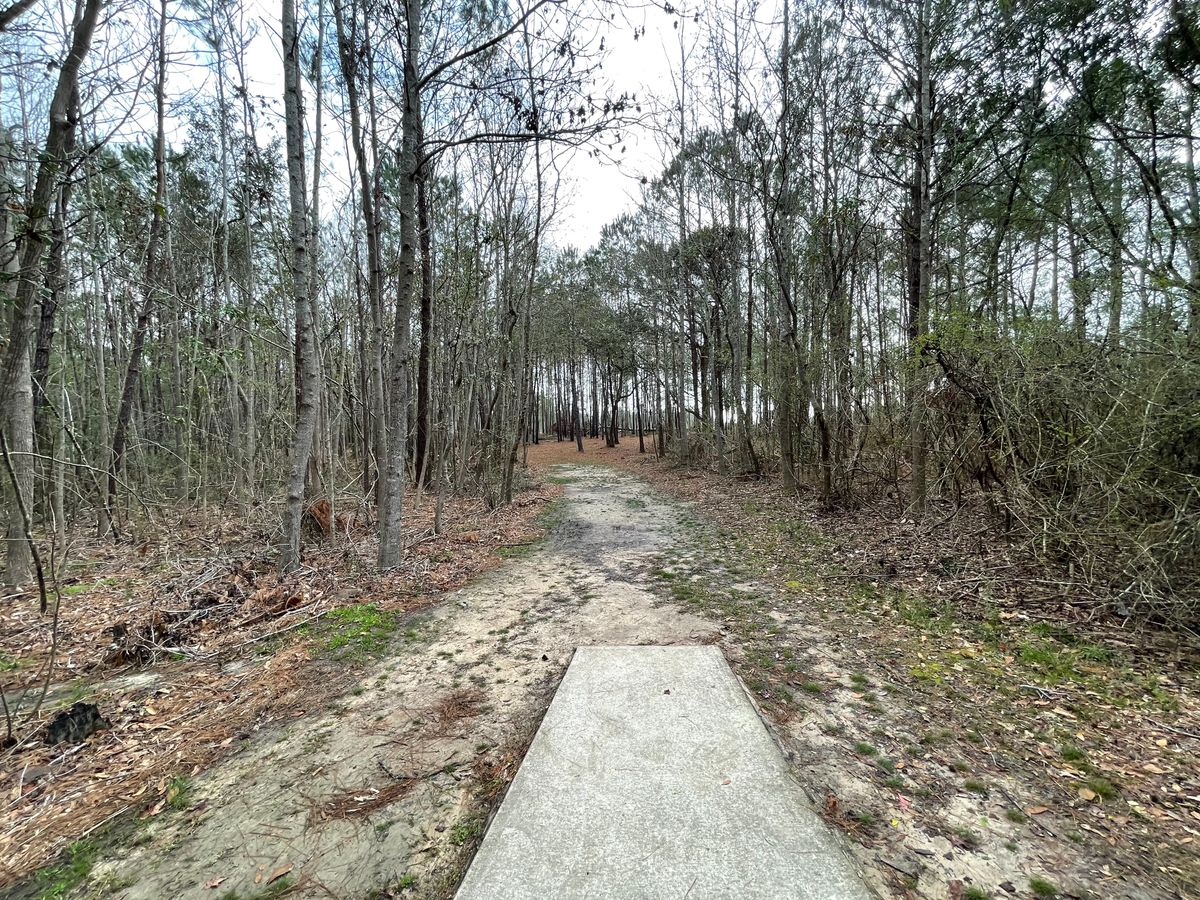 Hole 4