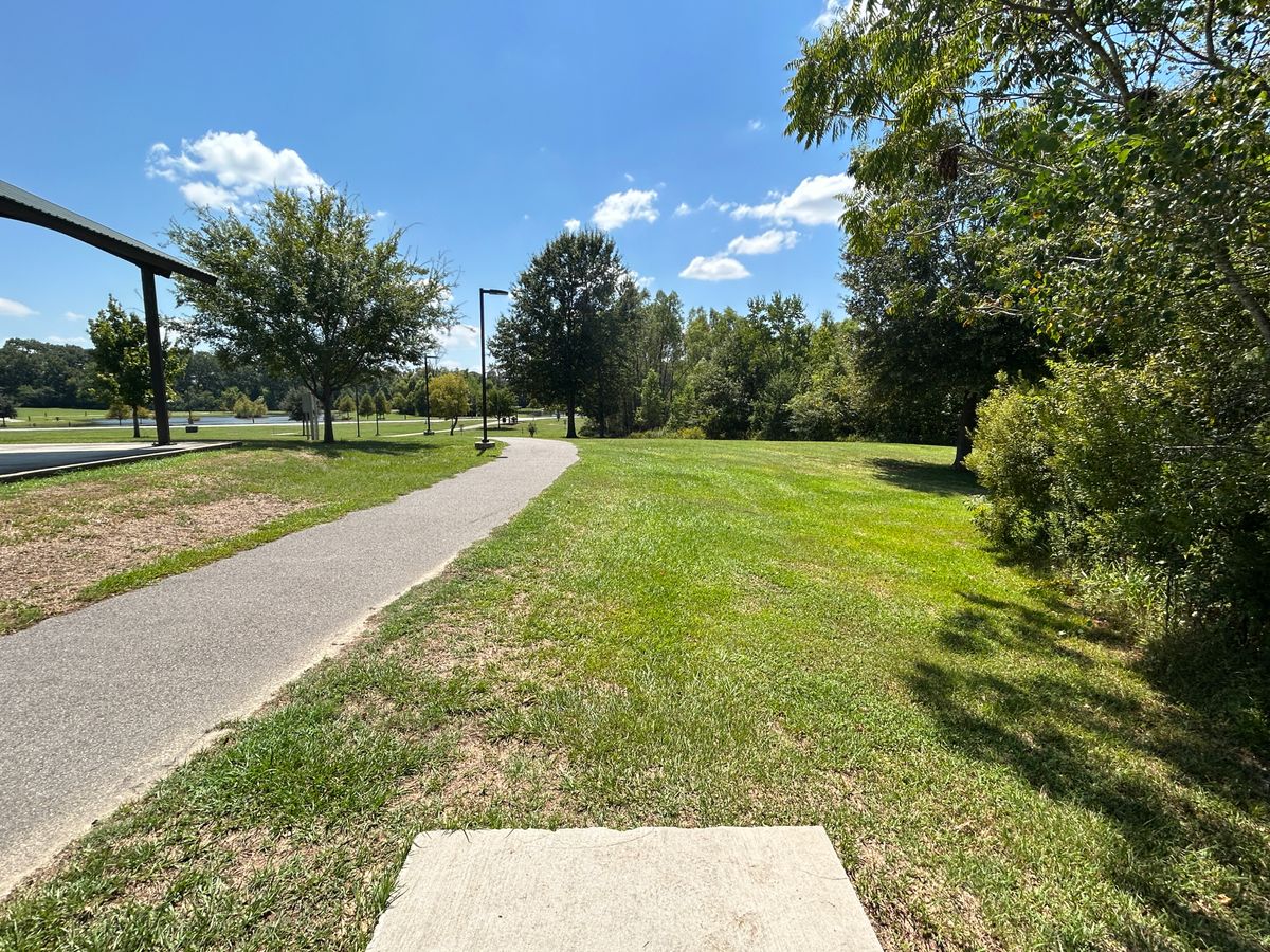 Hole 12 Fairway (Red)