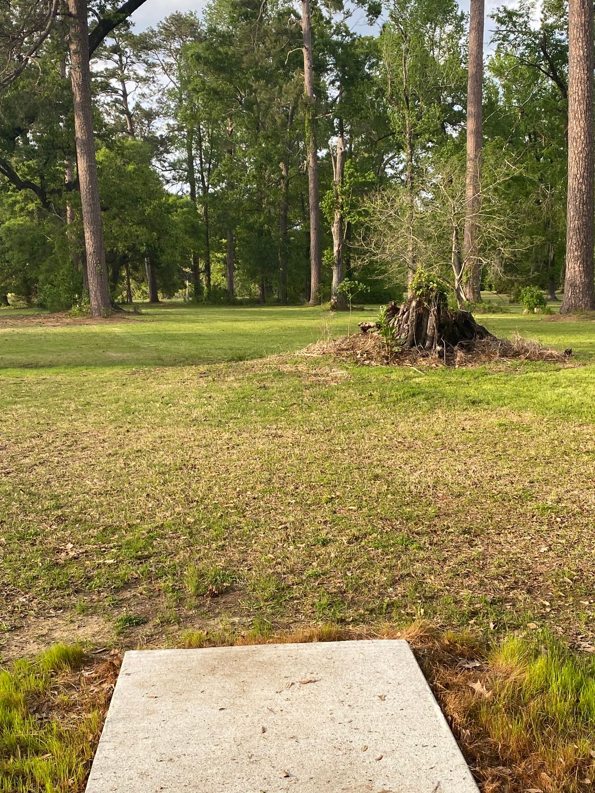 Tee 2