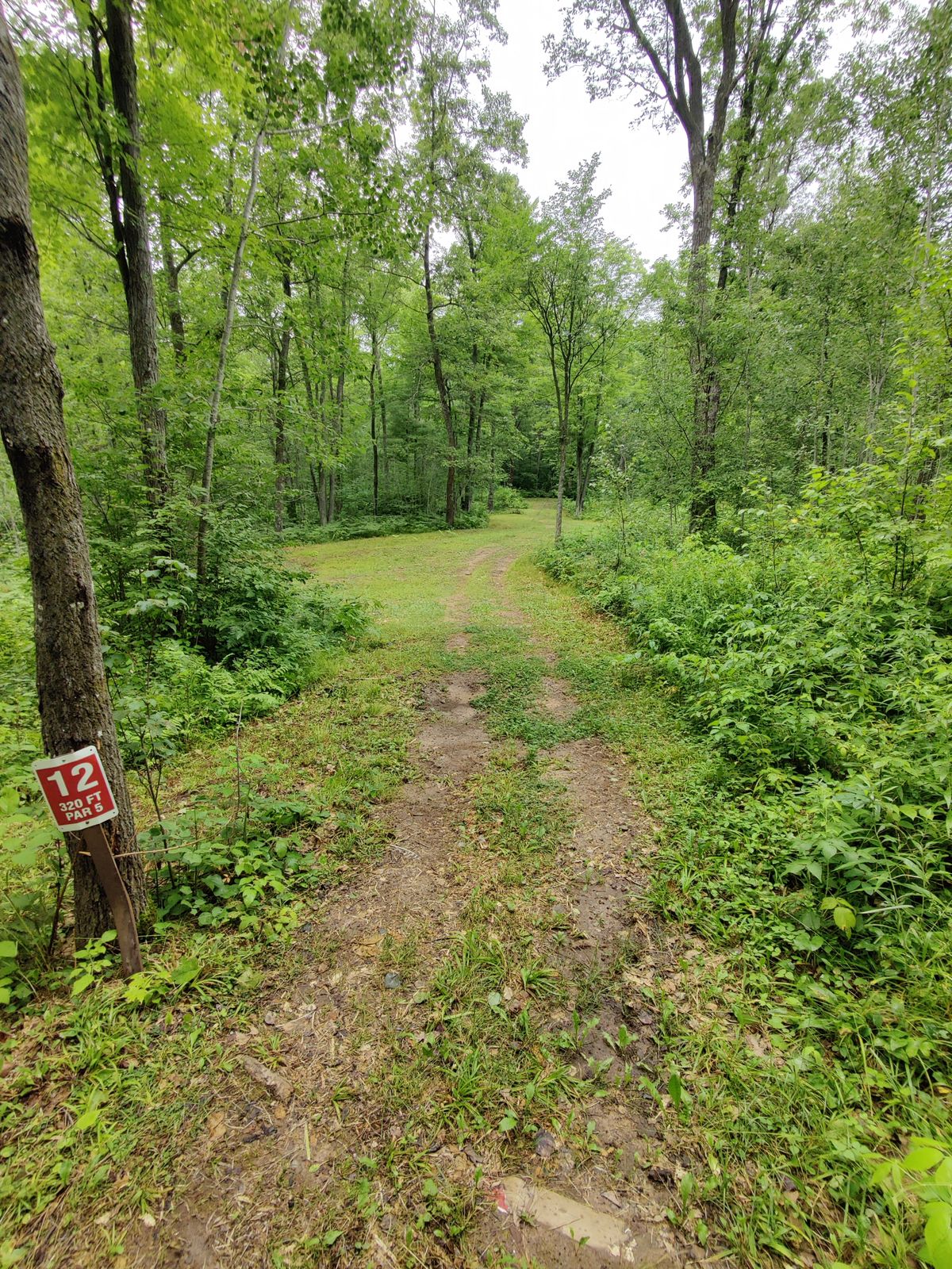 Tee 12
