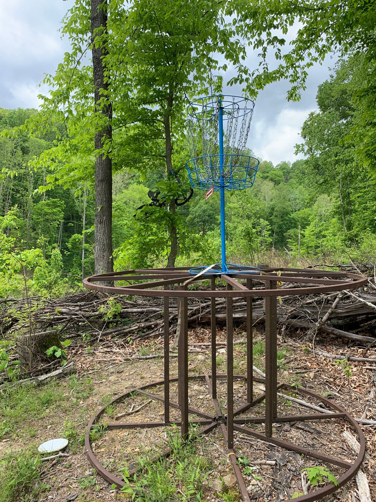 Hole 13.  Yes, that’s a bike in the tree.