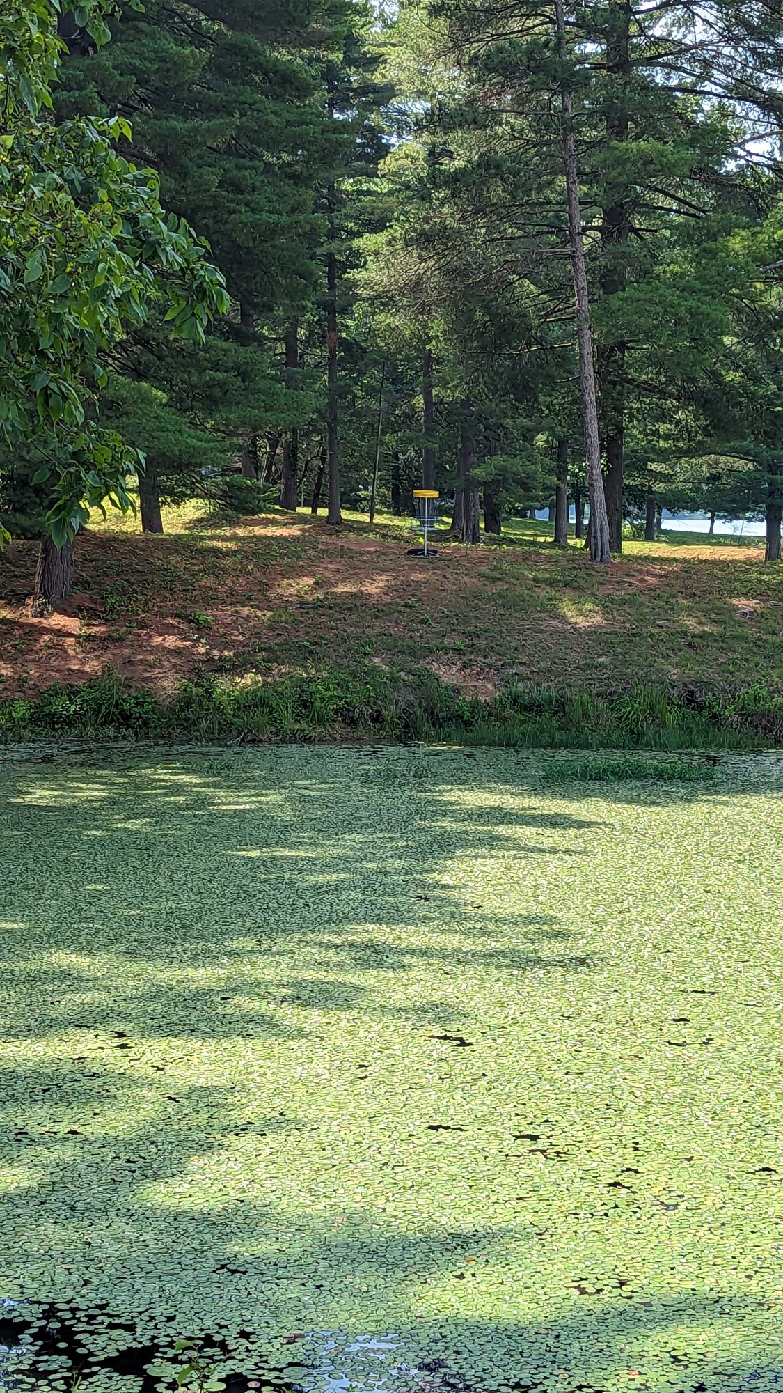 Hole 2