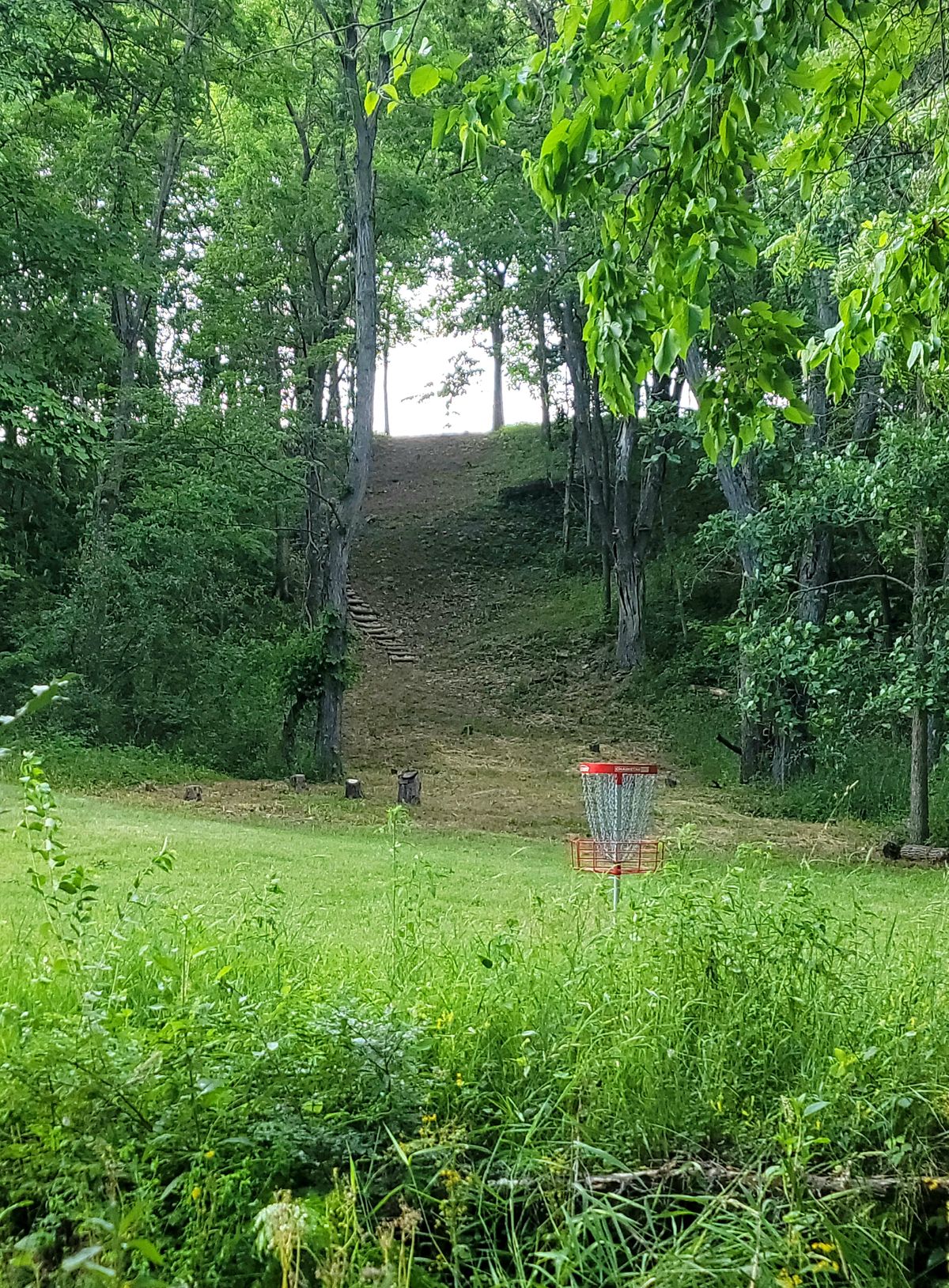 Hole 6 looking from behind it's basket up the fairway.