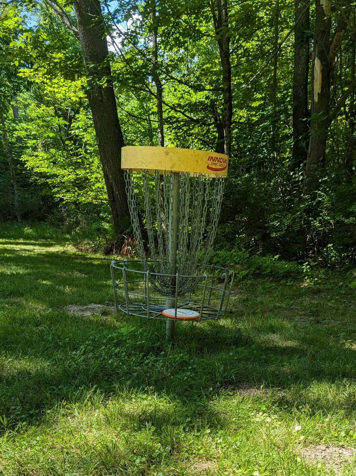 Modified hole 17's basket