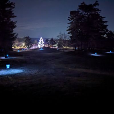 Glow Tiki course with the collective's giant Xmas tree.
