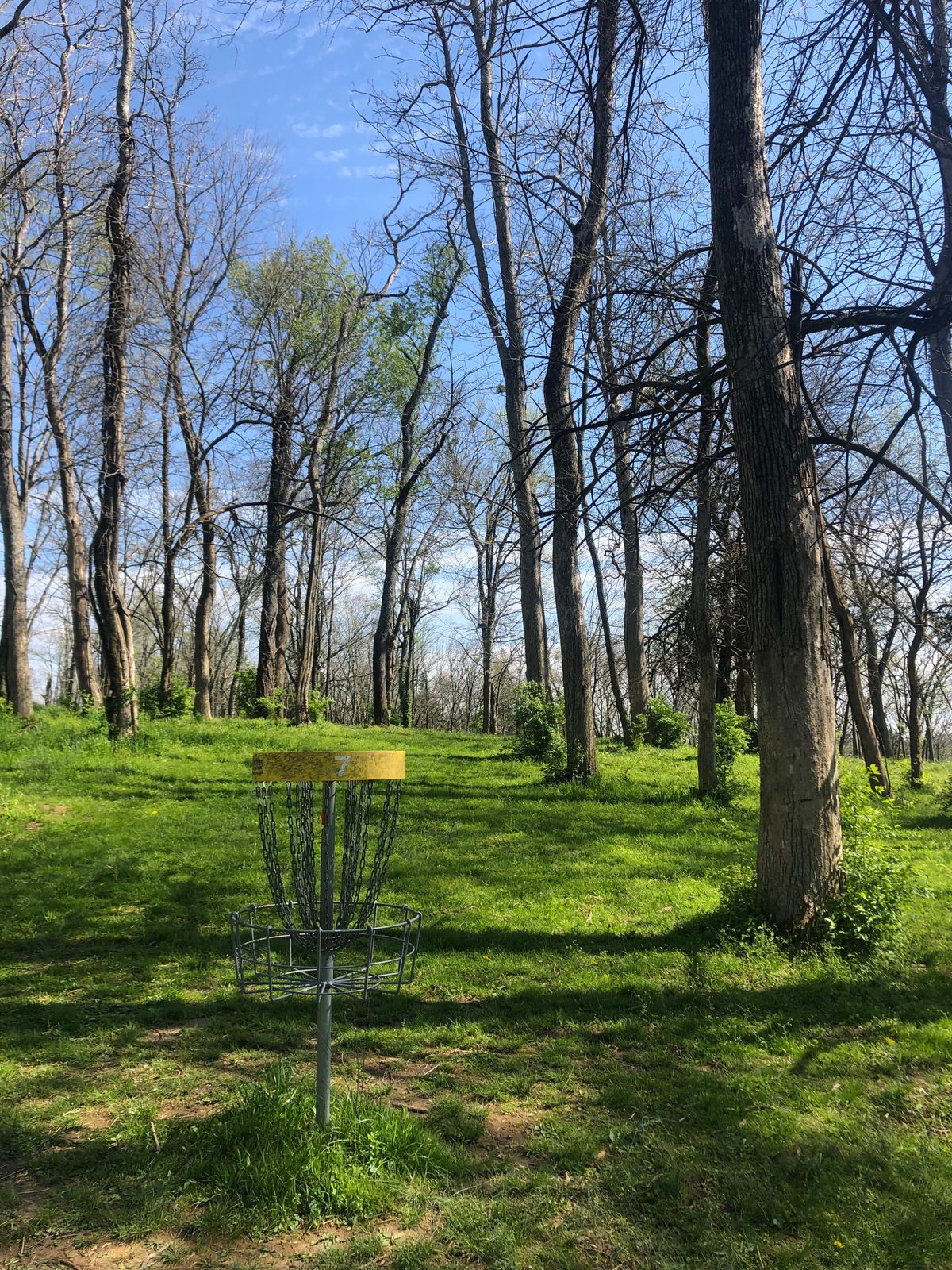 Hole 7 pin