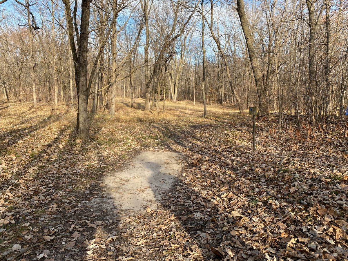 Hole 6, long pad.