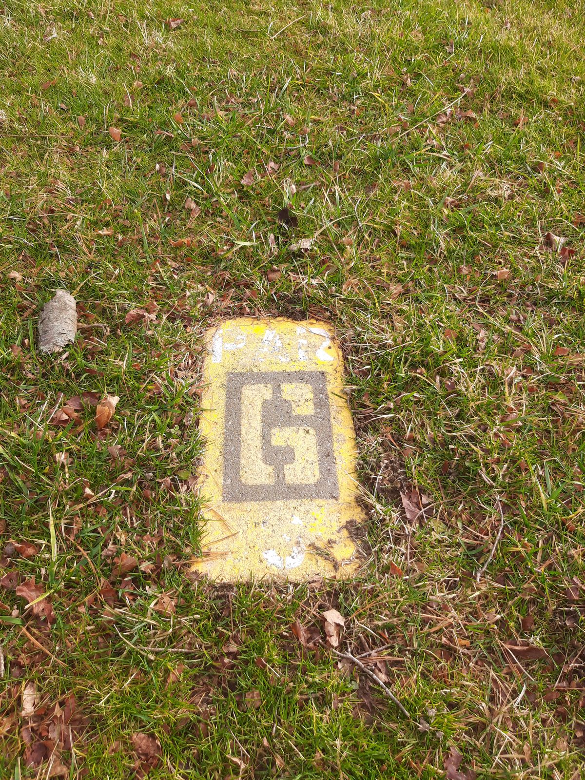 Tee pad and hole marker