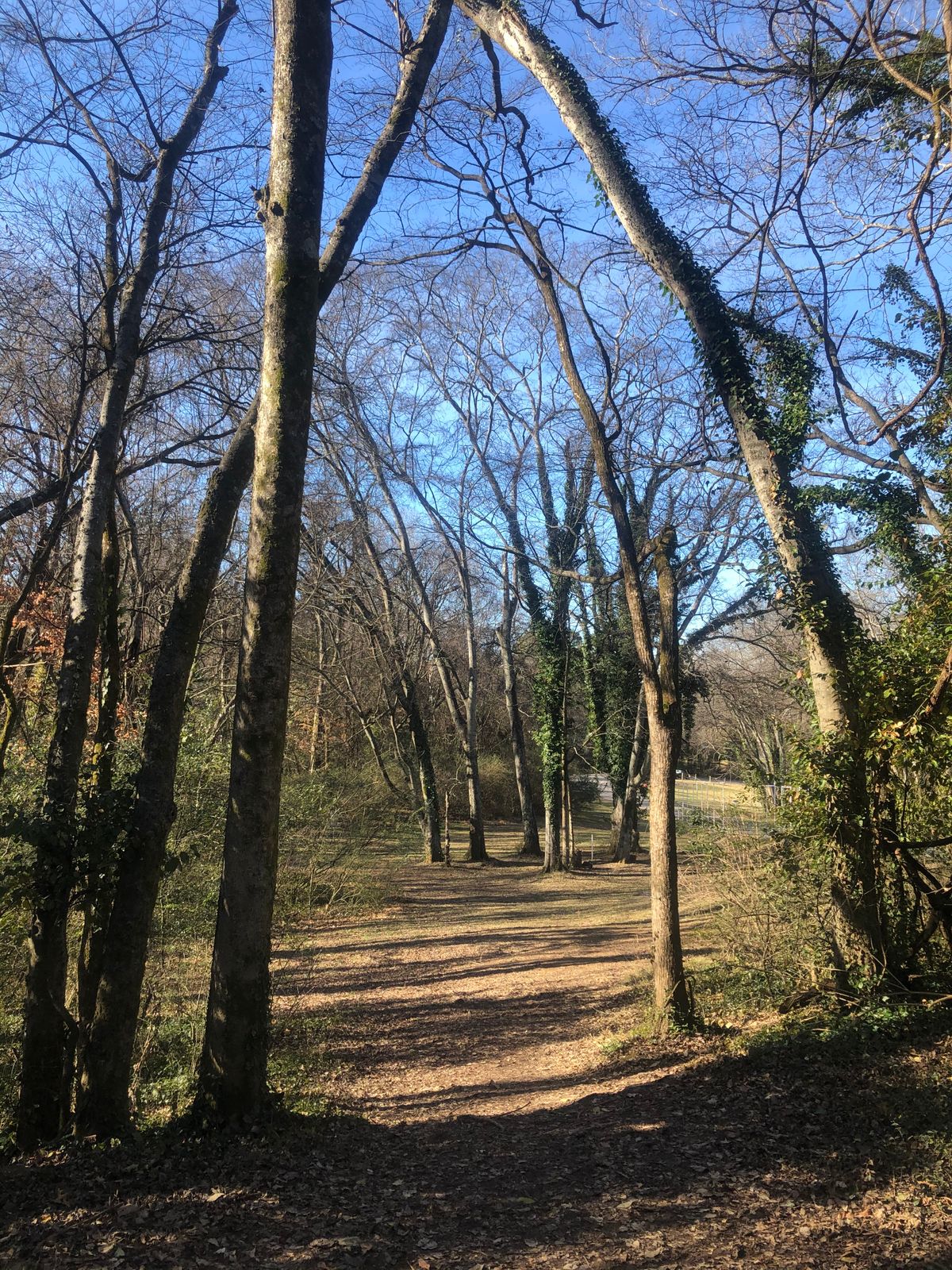 Hole 7