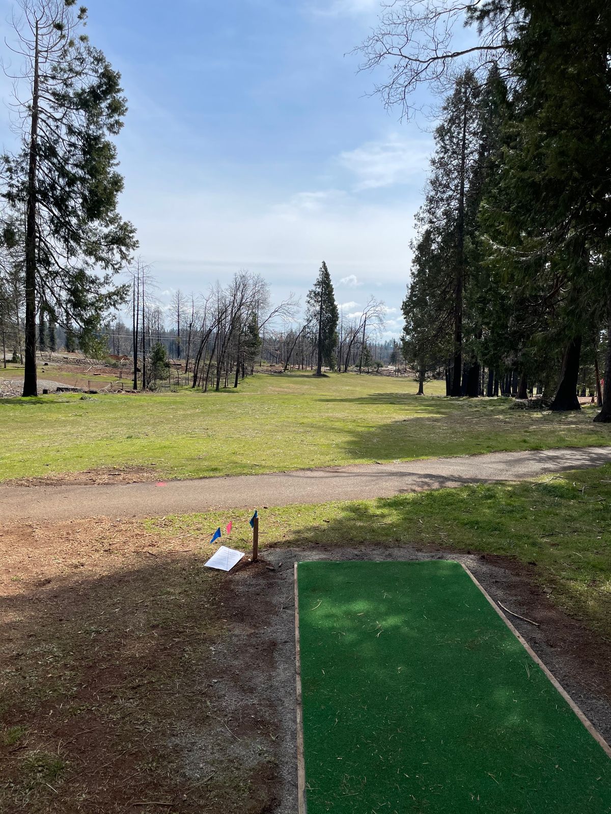 New tee pad on hole 1.